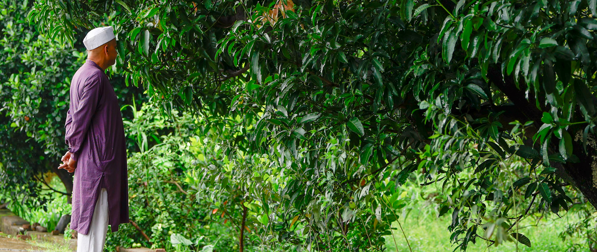 A man in a purple robe and white cap stands in profile under dense green trees, holding a small object in his hands.